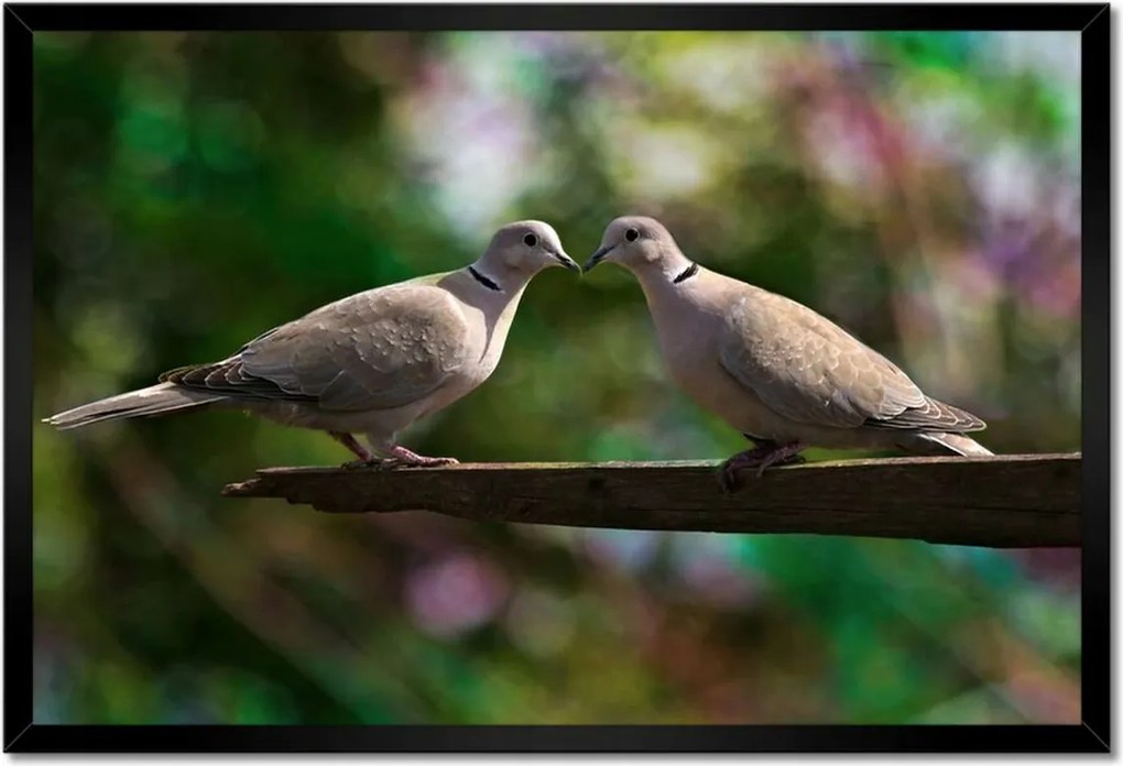 Poszterek keretben 60x40 Szerelem Érzés Párkapcsolat
