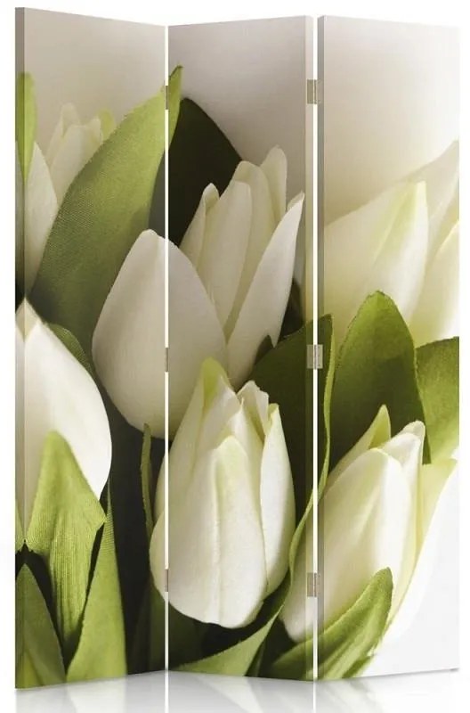 Gario Paraván Friss fehér tulipánok Méret: 110 x 170 cm, Kivitelezés: Klasszikus paraván