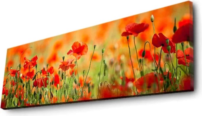 Vászonkép, 30×90 cm – TR239SHN1213