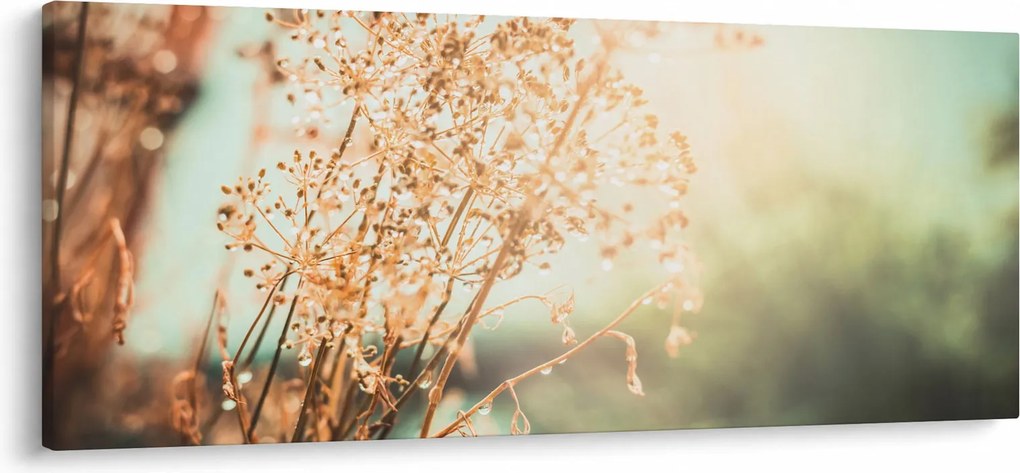 Kép - Növények eső után (120x50 cm)