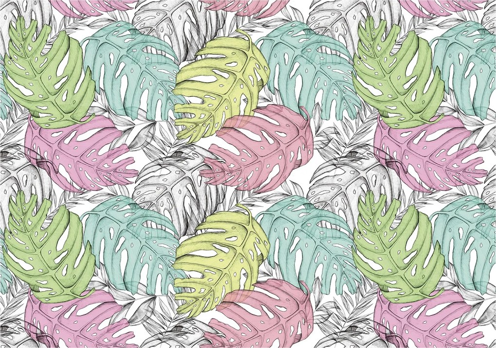 Monstera tapéta pasztell levelek botanikus trópusi minta 350x250 +ragasztó