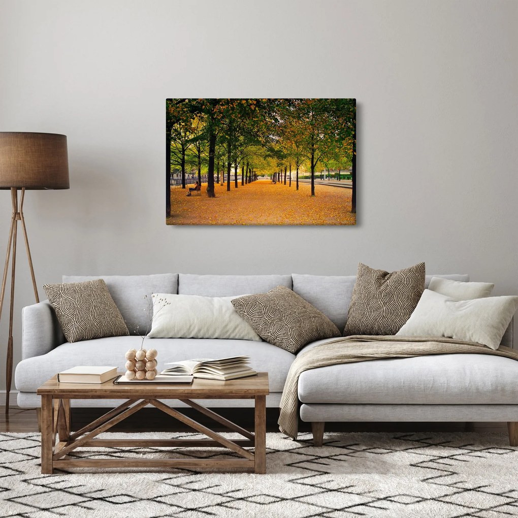 Egy kép az őszi fák sikátorából (90x60 cm)