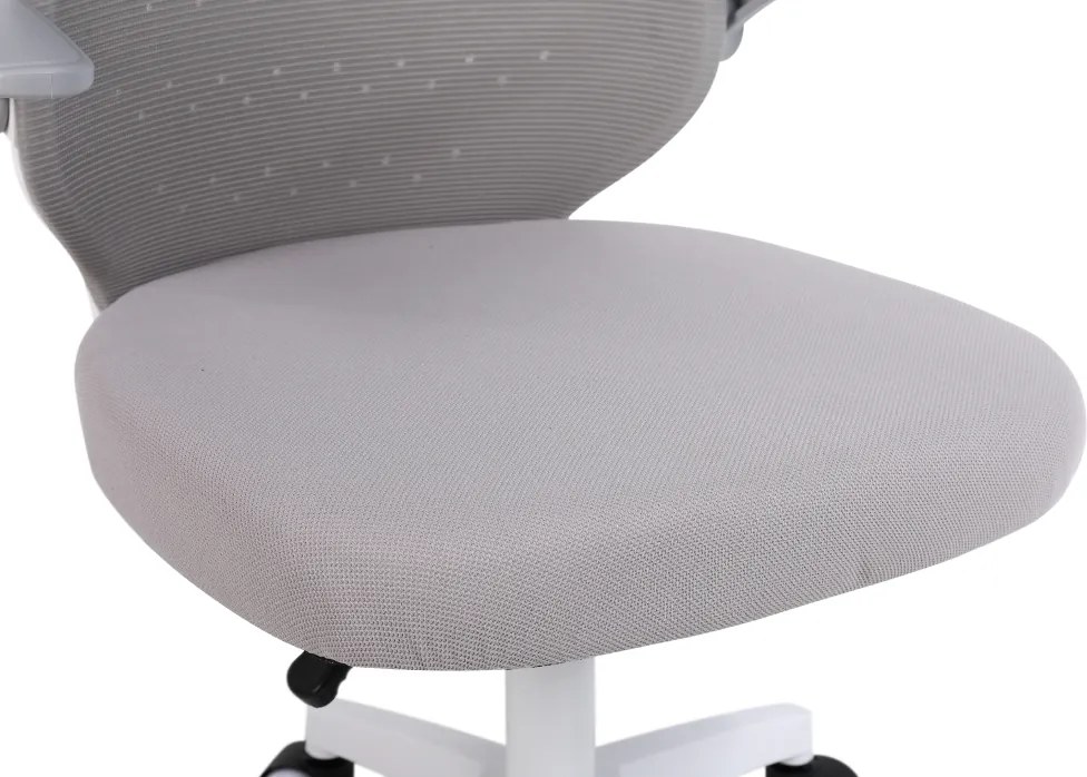 Irodai szék, szürke/fehér, PASTURA