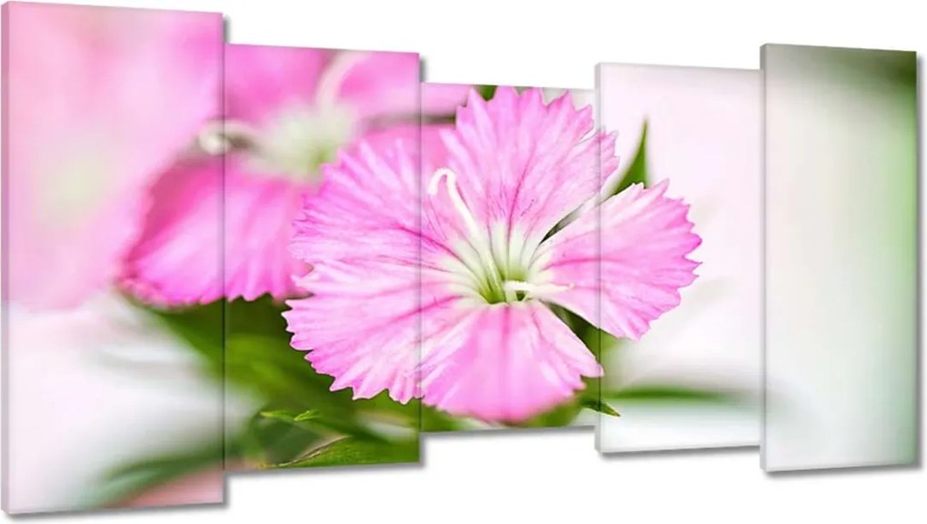 Vászonkép 150x80 Virágok