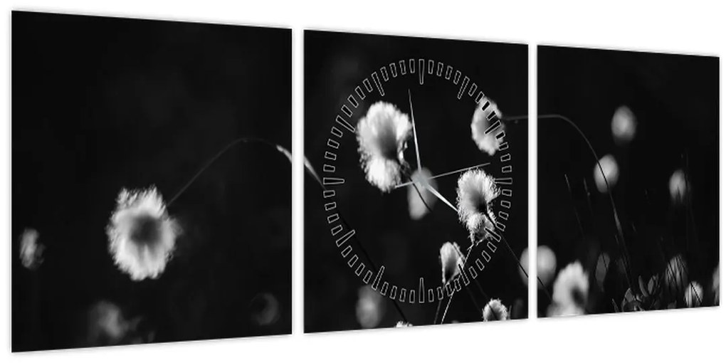 Kép - Gyapotfűvel borított rét N⁰1 (órával) (90x30 cm)