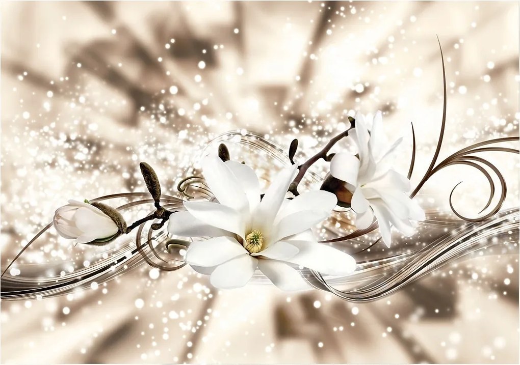 Fotótapéta Magnólia fehér absztrakt virágok a falra 208x146 +ragasztó