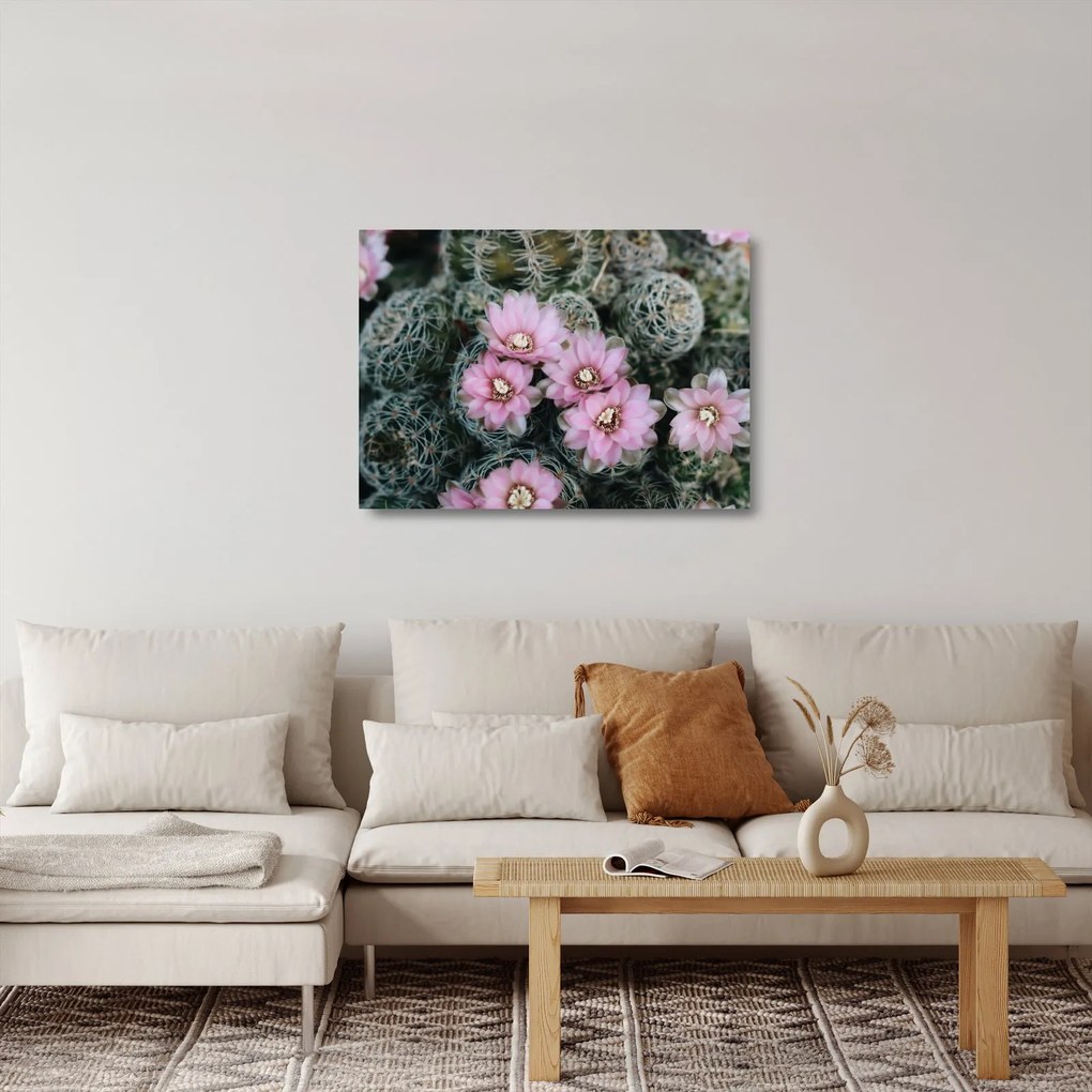 Kaktusz virágának képe (üvegen) (70x50 cm)