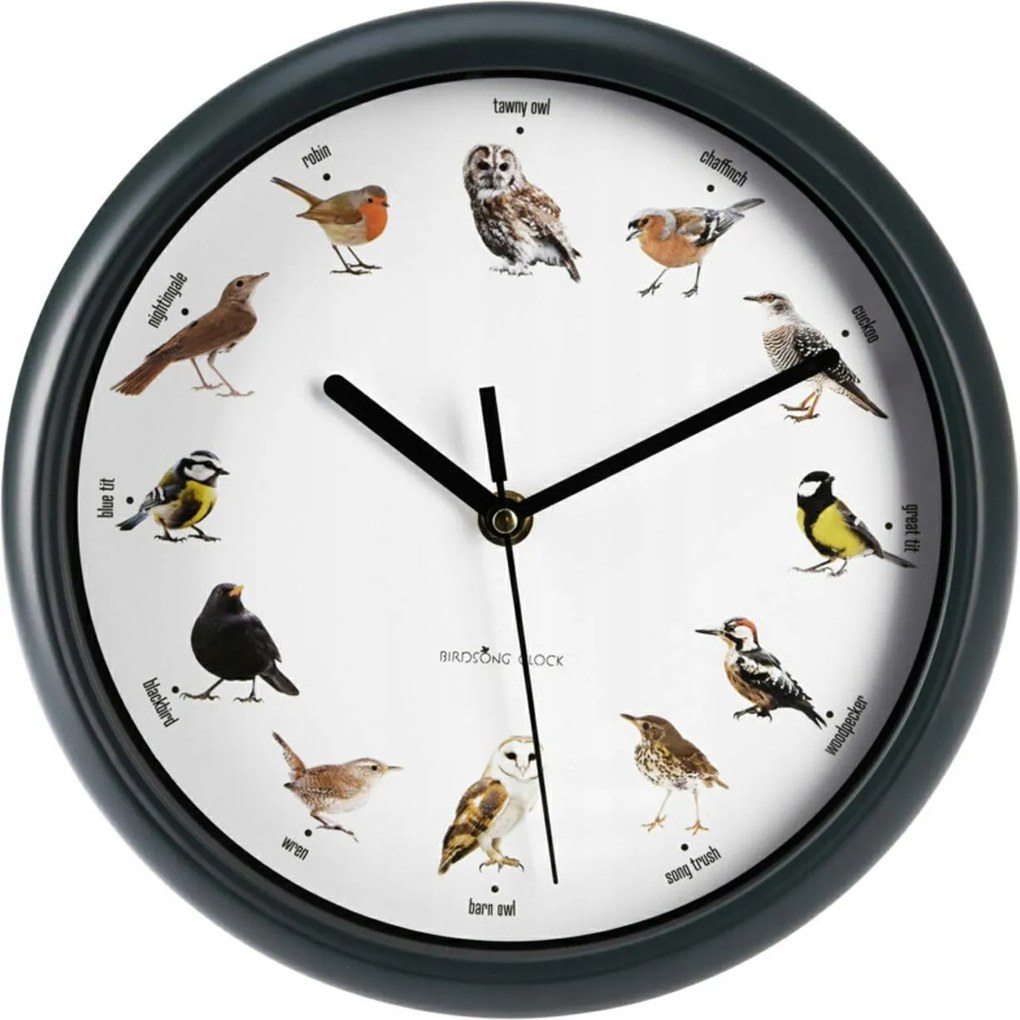 Falióra madárhangokkal 12 különböző hang ajándékba 25 cm Madár