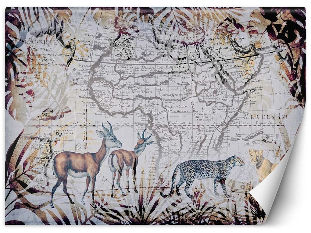 Gario Fotótapéta vadállatok - Andrea Haase Anyag: Vlies, Méret: 450 x 315 cm