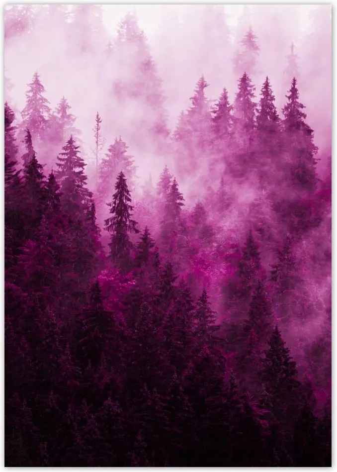 Poszterek A4 Pion Tájkép Rózsa Hegyek Köd