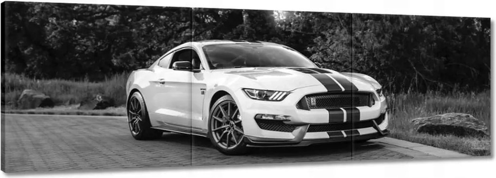 Vászonkép 90x30 Sportos Ford Mustang