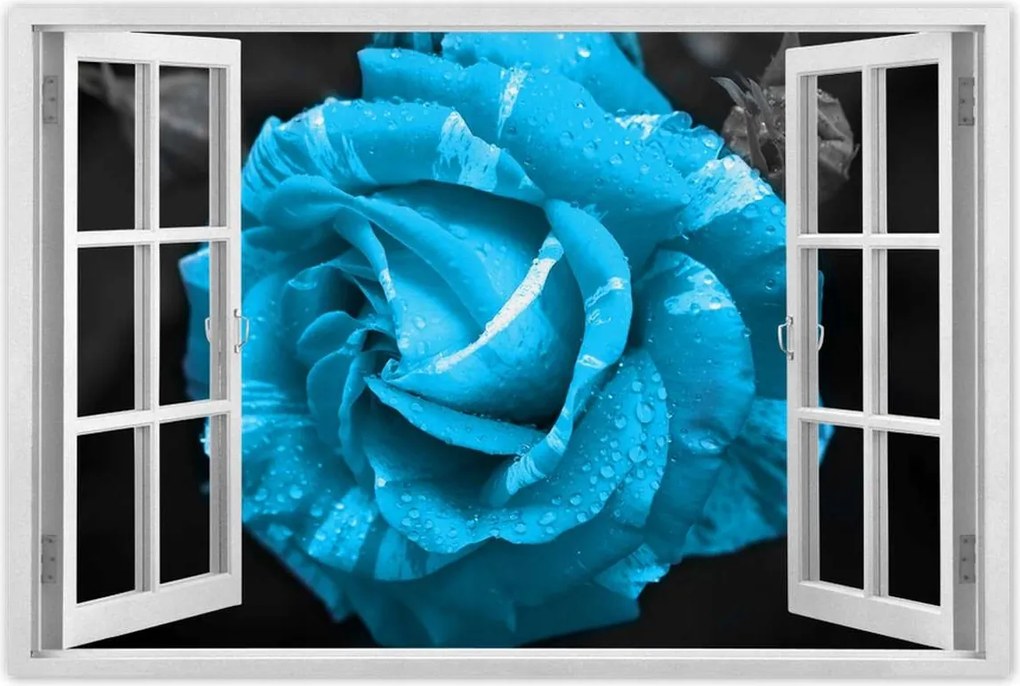 Poszter 60x40 Türkiz rózsa Virág