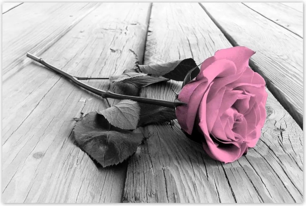 Poszterek 120x80 Rózsa világos deszkákon