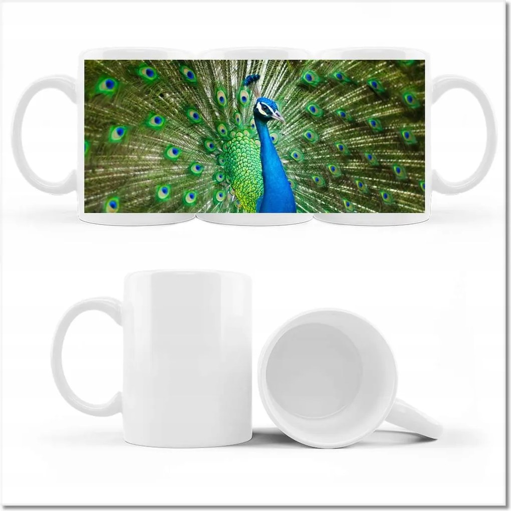 Páva fényképes bögre a párzási időszakban