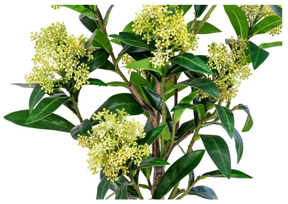 Skimmia fa műnövény 75 cm