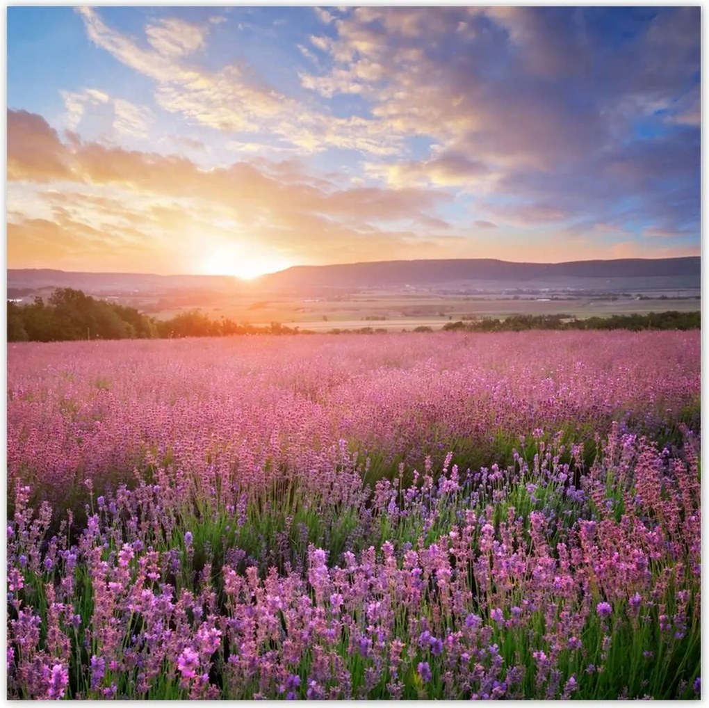 Poszterek 30x30 Csodálatos naplemente