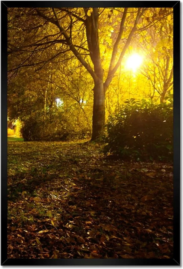 Poszterek keretben 40x60 Park éjszaka