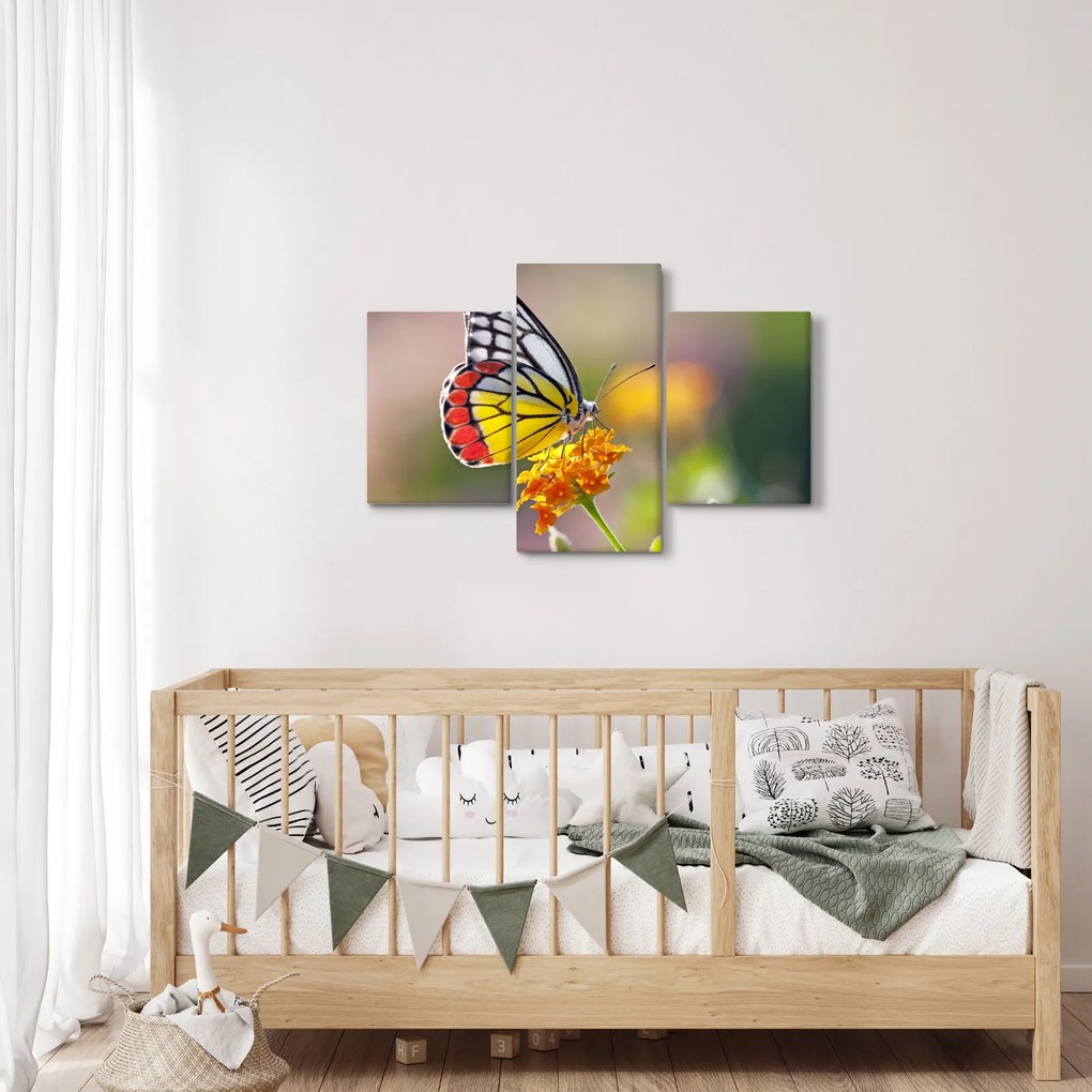 Egy pillangó képe a virágon (90x60 cm)