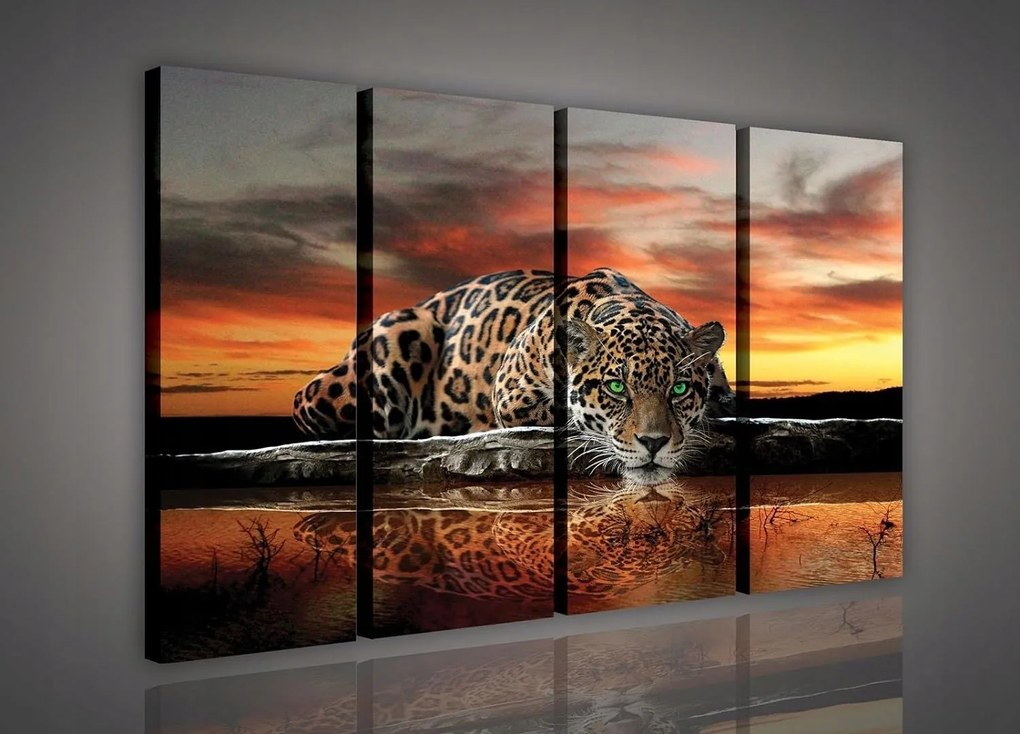 Vászonkép 120x80 Jaguar naplemente tükröződés természet erő szépség ragadozó