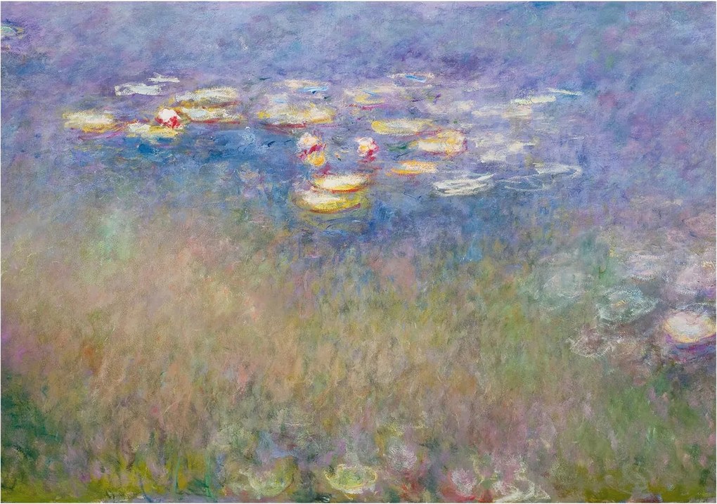 Flizelin tapéta falra Prémium víz liliomok 208x146 ragasztó