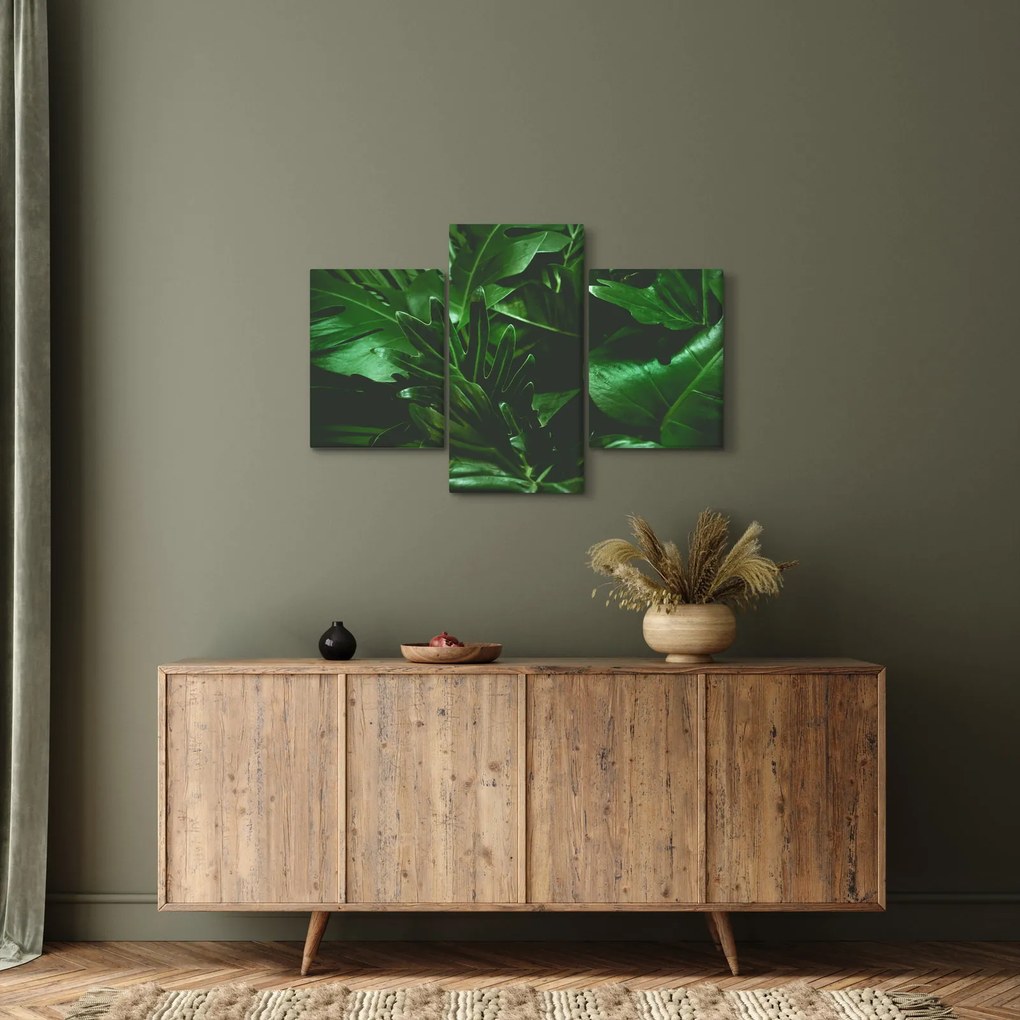 Kép - Pálmalevél (90x60 cm)