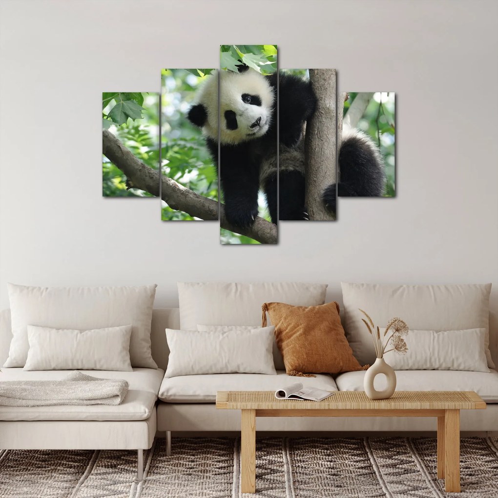 Kép - Panda a fán (150x105 cm)