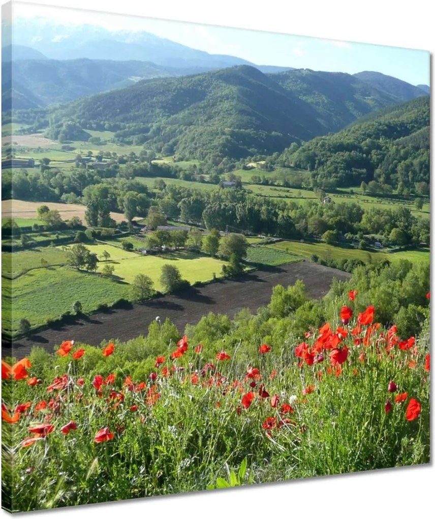 Vászonkép 40x40 Virágos kilátás a hegyekben