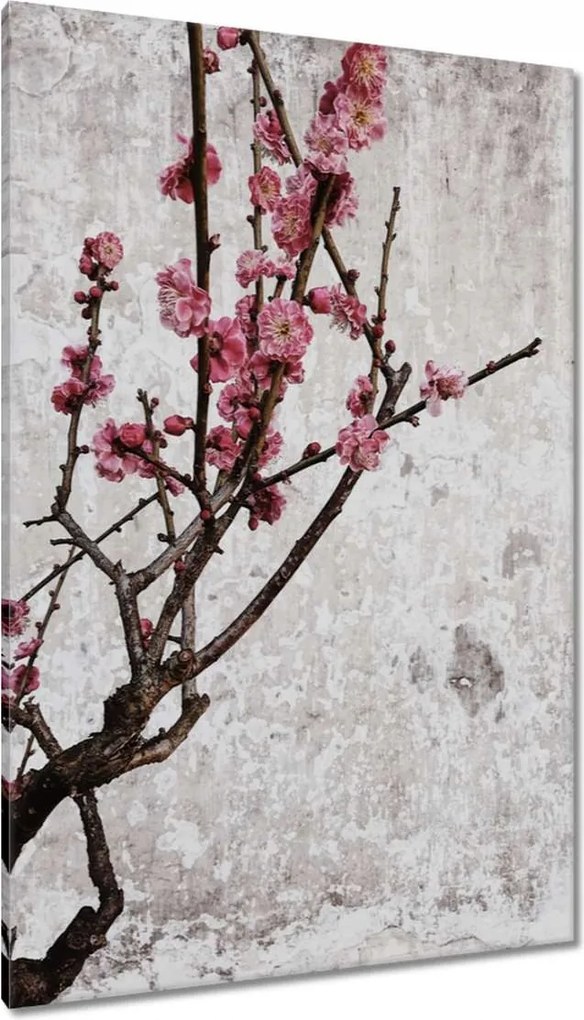 Vászonkép 80x120 Virágok