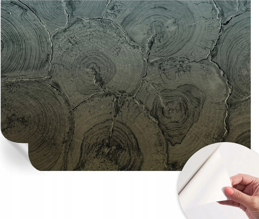 Öntapadós tapéta Divatos 3D fali ragasztóval Fa tégelyek 152x104 cm