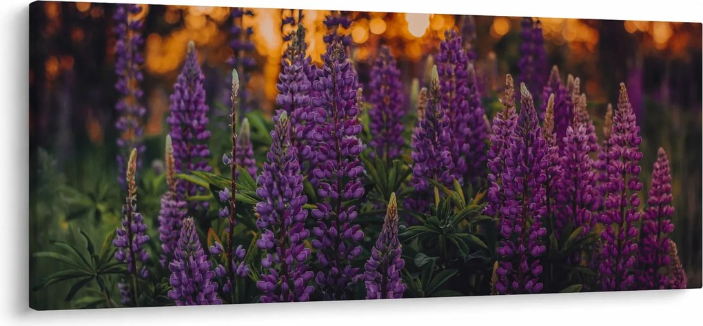 Egy csillagfürt virág képe (120x50 cm)