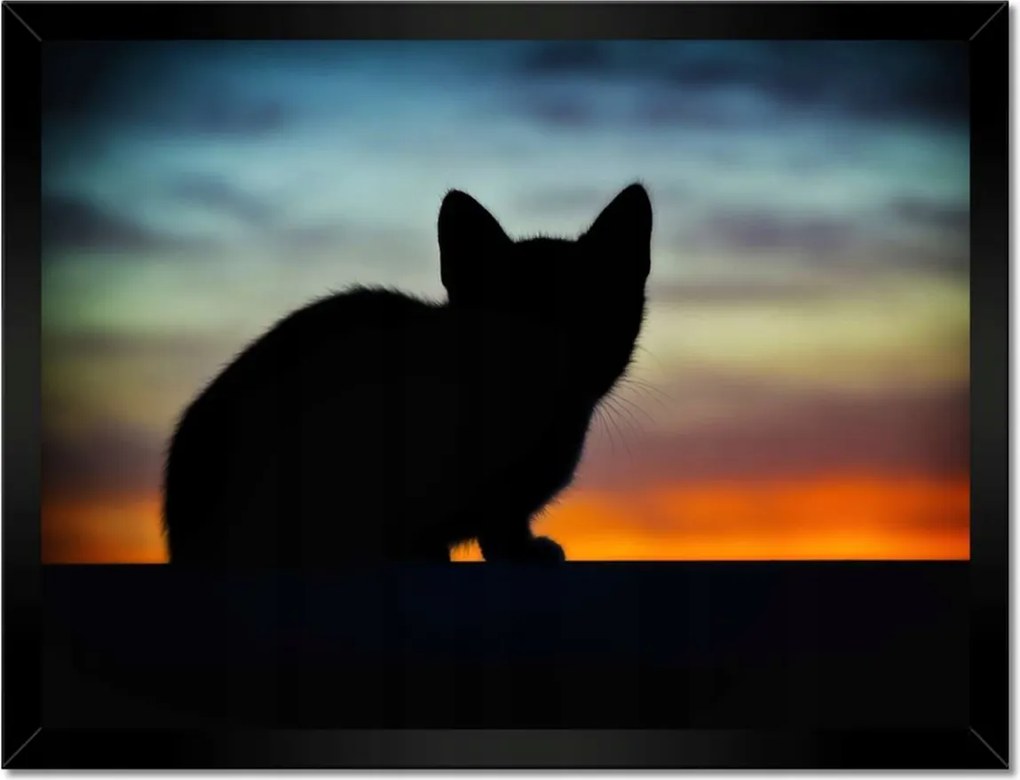 Poszterek keretben 40x30 Búvó cica