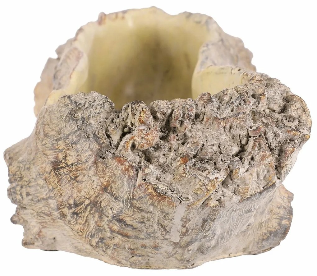 Virágcsomagolás, kivájt gyökér, 35 x 16 x 11 cm,beton