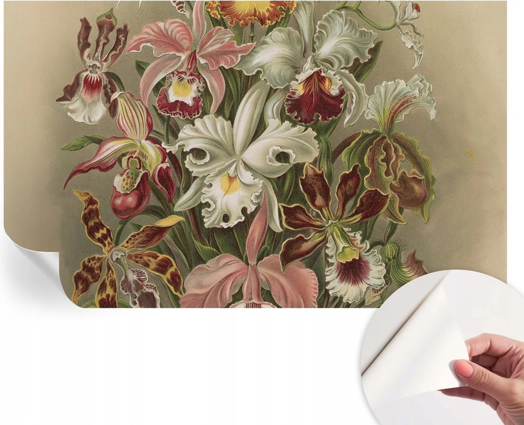 Dekoratív Öntapadós Tapéta Divatos Minták Virágos elegancia 416x254 cm