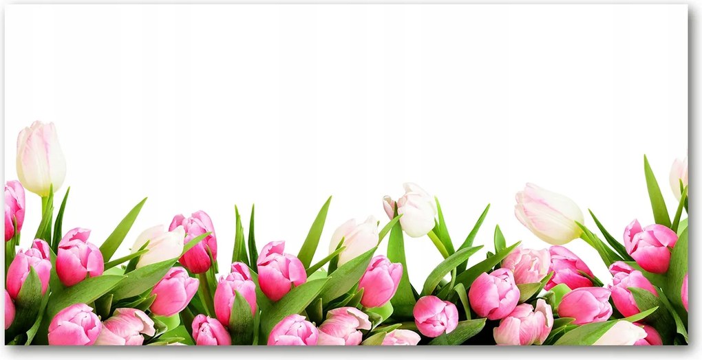 Fotótapéta üvegfalra Rózsaszín tulipánok 140x70