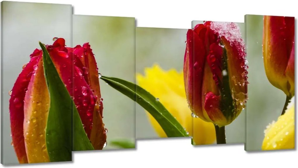 Vászonkép 150x80 Tulipánok Virágok