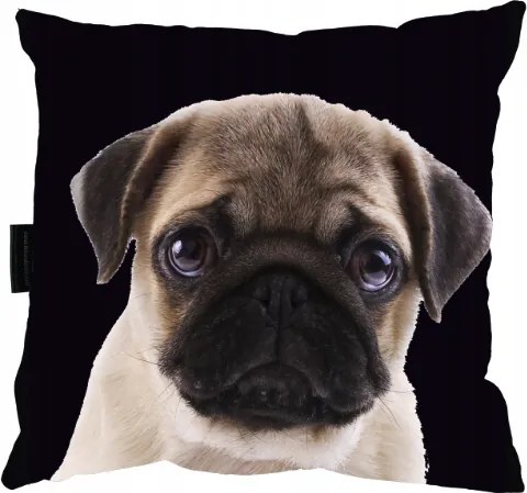 Mopsz Kutyapárna Mopsz 40x40 Ajándék alváshoz