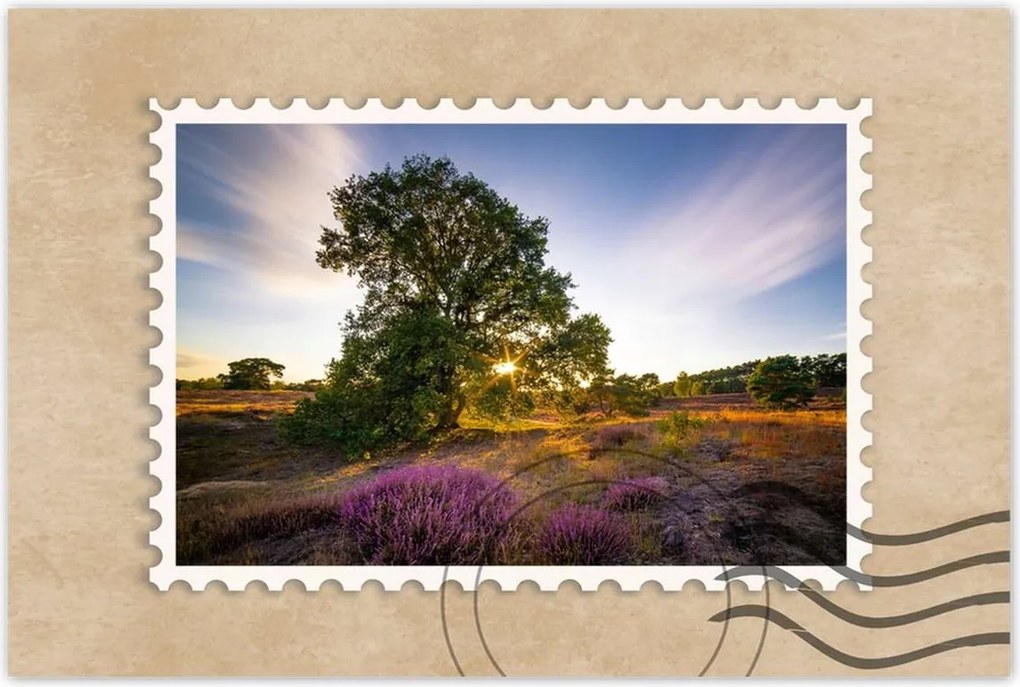 Poszterek 90x60 Tájkép Látvány