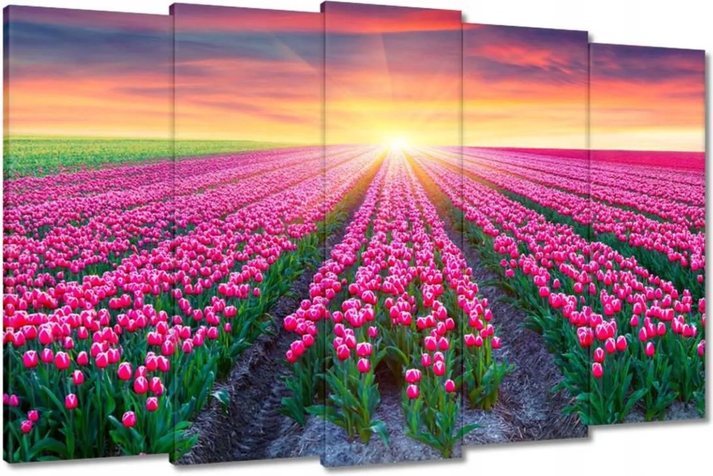 Vászonkép 150x95 Tulipánok tengere Tulipánok