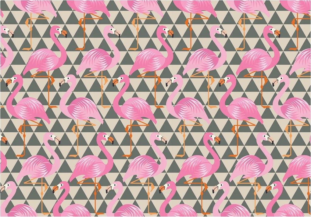Fotótapéta állatok flamingók fotótapéta 208 x 146