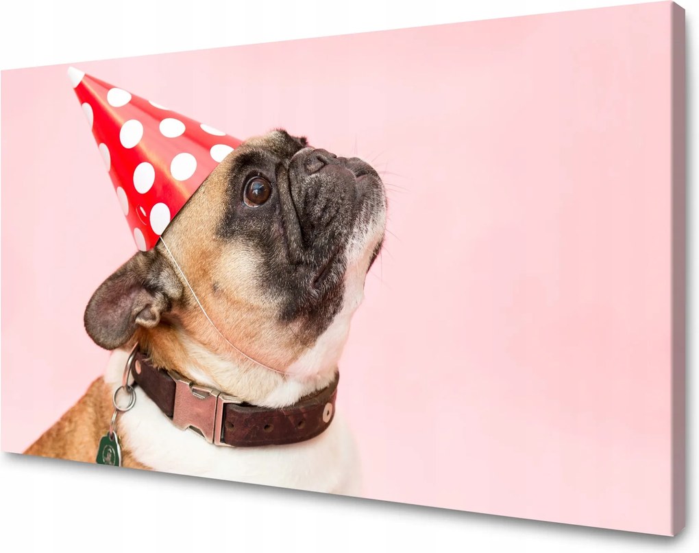 Vászonkép Ifjúsági Mopsz Születésnap Állatok Természet Kutya 100x60