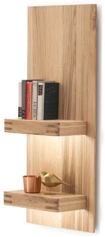 Salvador fali panel 2 polccal