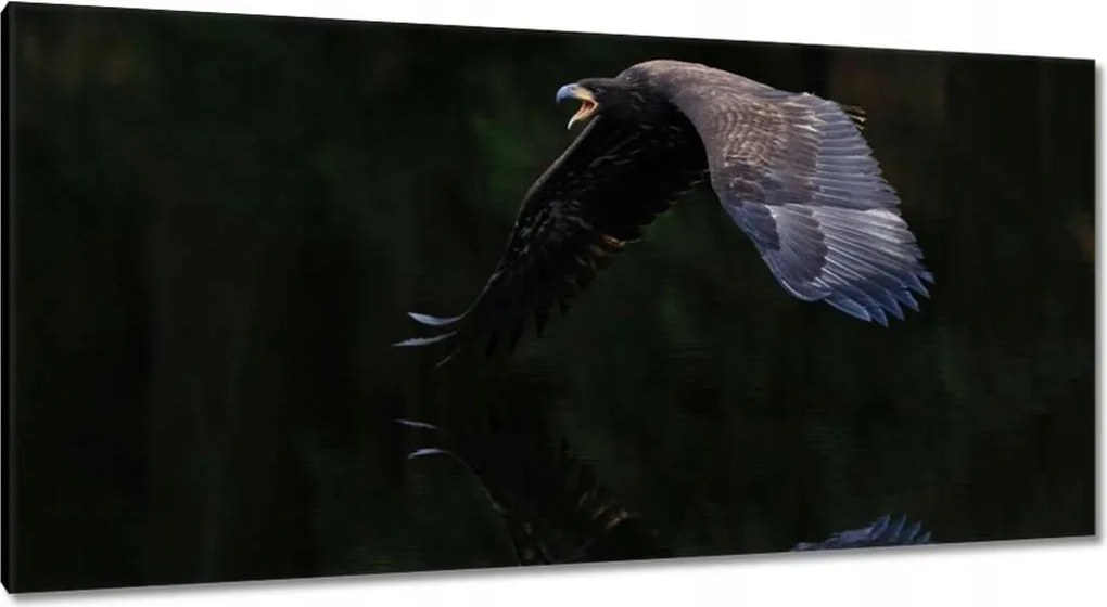 Vászonkép 115x55 Madarak