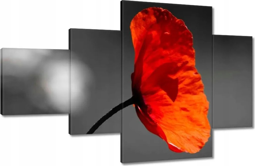 Vászonkép 130x80 Virágzó piros pipacs