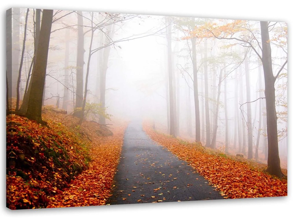 Gario Vászonkép Arany osz a parkban Méret: 120 x 80 cm