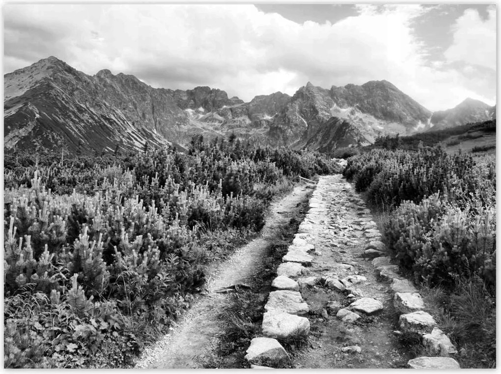 Poszterek 135x100 Tátra Lengyel hegyek Kilátás