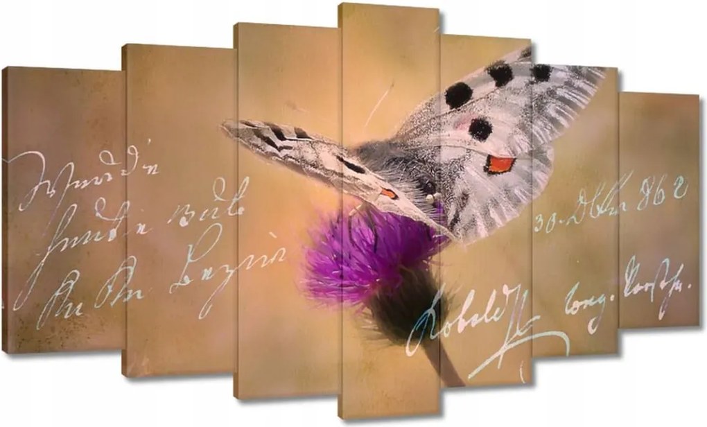 Képek 140x80 Szeretem a pillangókat