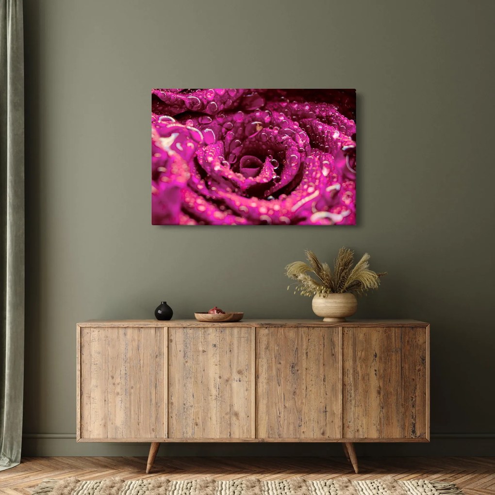 Rózsaszín rózsa virágzata képe (90x60 cm)