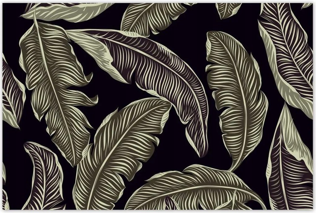 Poszterek 120x80 Trópusi levelek Levelek