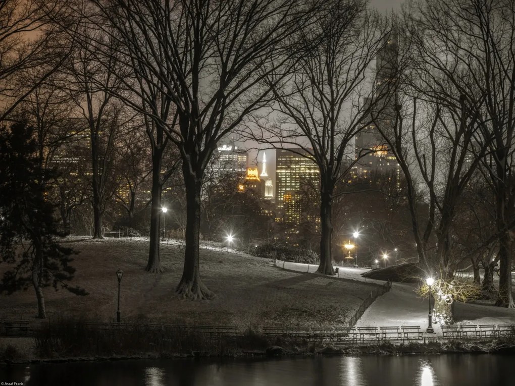 Poszter 40x30cm Central Park éjszaka, Assaf Frank