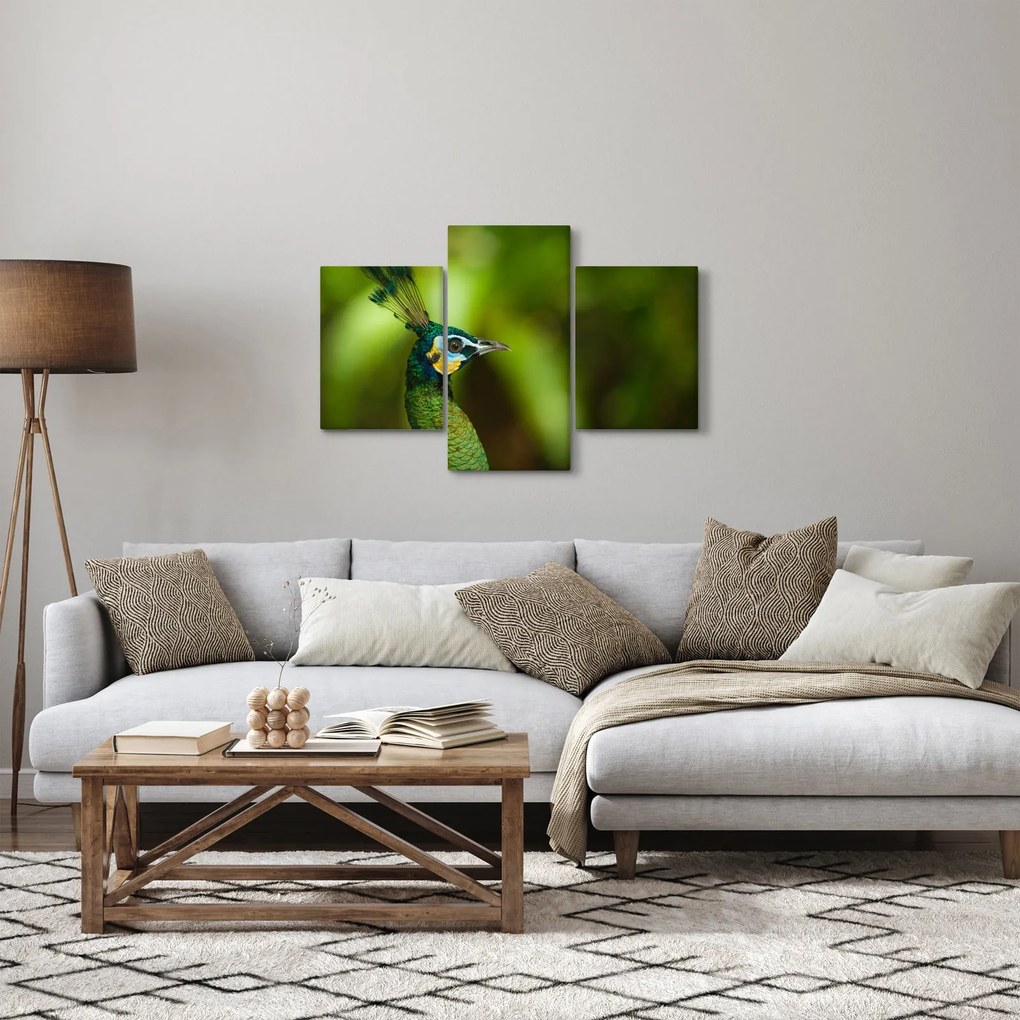 Páva képe (90x60 cm)